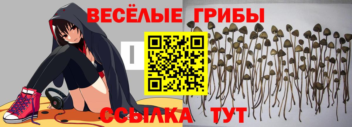 Псилоцибиновые грибы Psilocybine cubensis  Вход с VPN  Ханты-Мансийск 